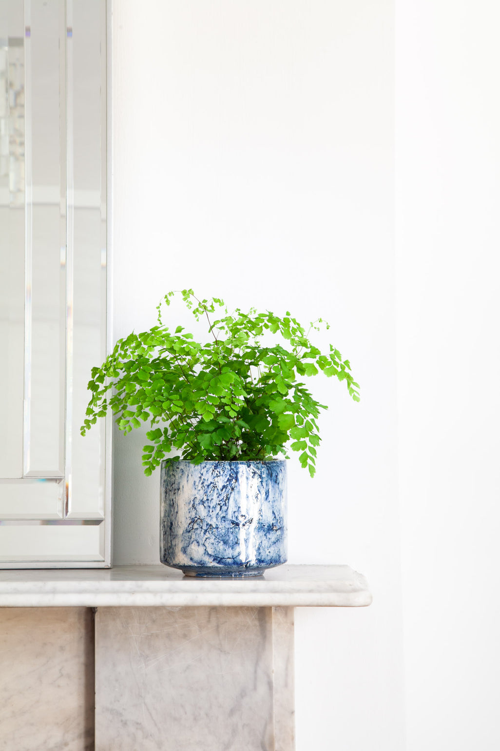 files/IndoorPlants_2-JamieShots20.11.2023-118.jpg